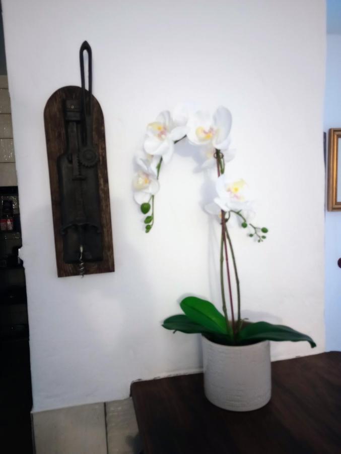 아르코스델라프론테라 Casa Jaruf Centro Historico Parking Gratuito Patio Petfriendly 아파트 외부 사진